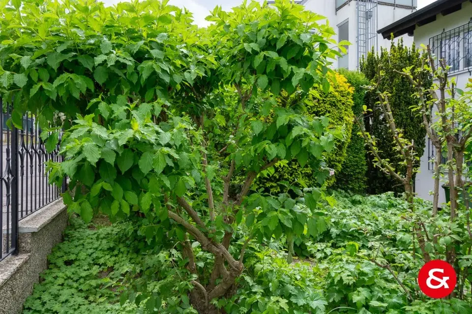 WUNDERBARE DOPPELHAUSHÄLFTE IN GRÜN-RUHELAGE!